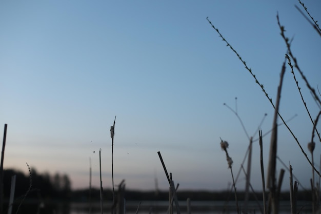 Blue river or lake water surface