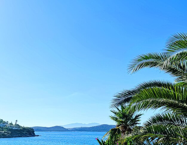 Голубая ривьера и концепция летнего путешествия море, горы, пальмы и белые пляжные зонтики, ...