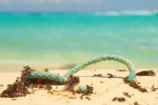 Photo blue rope on the sandy beach of the caribbean sea