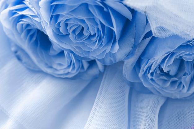 Blue roses on blue veil Abstract background Top view Macro