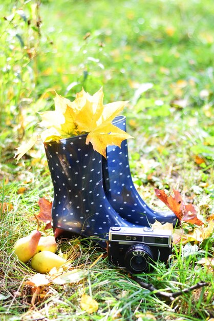 Blue rubber boots are standing on the green grass next to pears and a camera