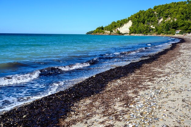 Фото Синее море и пляж с лесом в фурка скала, халкидики, греция