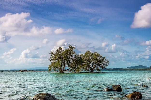 Blue sea and blue sky and tree in the sea summer