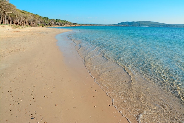 Синее море на пляже Мугони Сардиния