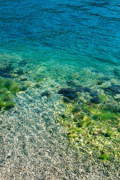 Синяя морская вода с камнями во мхе