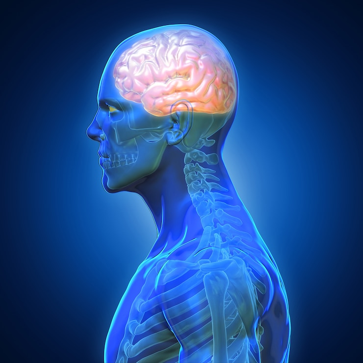Photo blue shade anatomy man x ray bones heart lung brain liver