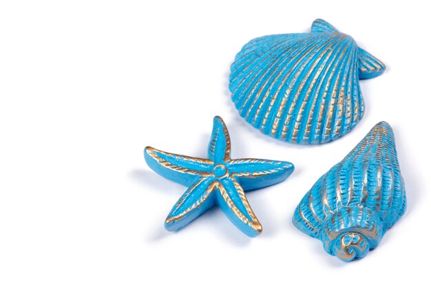 Blue Shells starfish and anchor