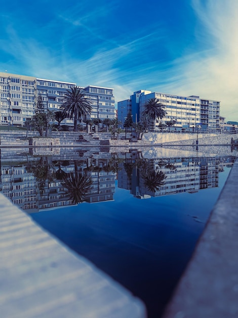 Foto cieli blu e palme