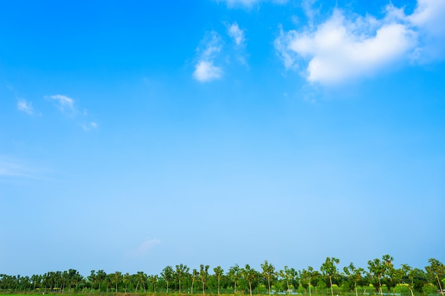 Blue sky background texture with white clouds.