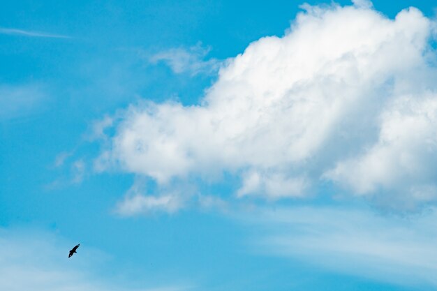 Blue sky background with beautiful clouds