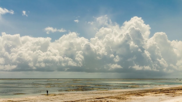 Blue sky background with big clouds .Ocean low tide on Zanzibar island.