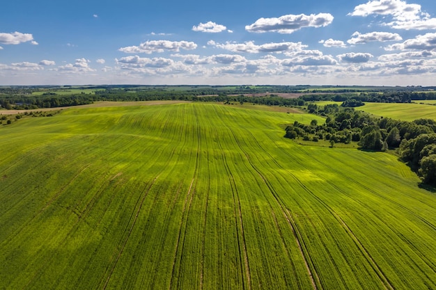 Lo sfondo del cielo blu con grandi nuvole a strisce bianche nel panorama del cielo blu del campo può essere utilizzato per la sostituzione del cielo