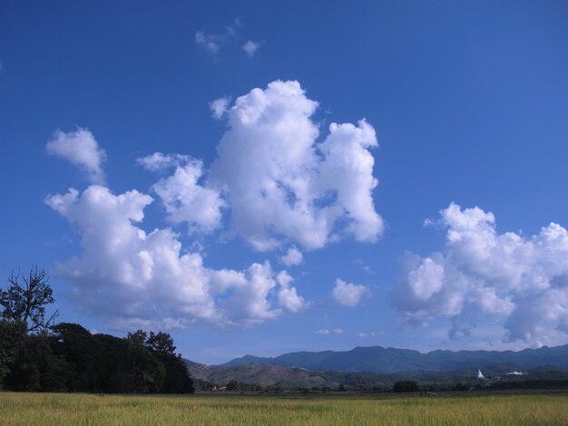 写真 午後の雲と山の青い天の背景