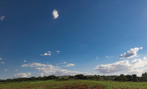 Blue Sky Background With Tiny Clouds  - Cinecmatic Colored Sky With Clouds