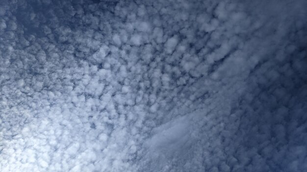 голубой фон неба с белыми облаками используется в качестве фона