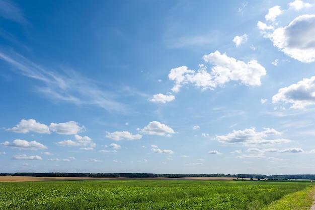 blue sky background with white striped clouds in heaven and infinity may use for sky replacement