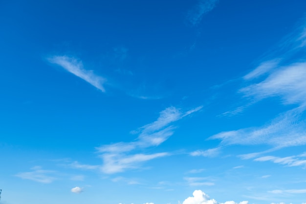 青い空を背景