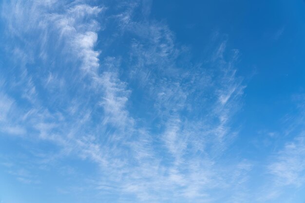 青い空と牧草地の木と美しい雲 夏のポスターの平野の風景の背景 休日に最適なビュー
