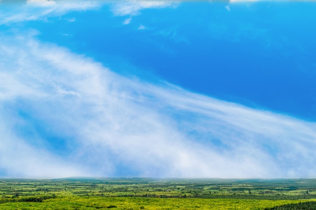 Blue sky and beautiful cloud with tree land.