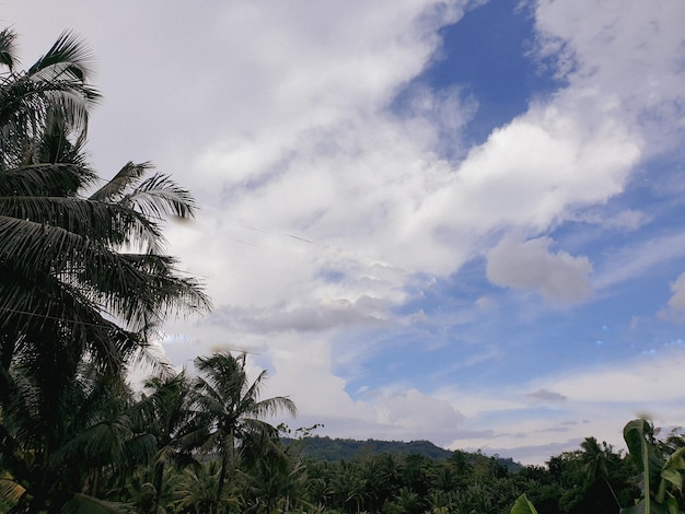 Blue sky and cloud pastel style sky and cloudsfreshness of the
new day bright blue background