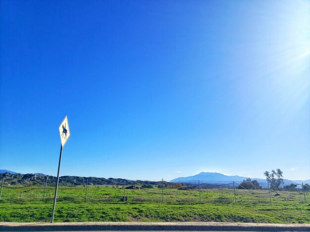 Foto il cielo blu sopra le praterie