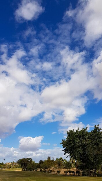 Blue sky over green field