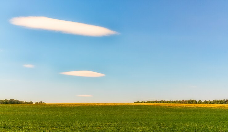 Фотография голубое небо и зеленая трава фоном