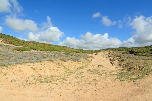 Blue sky over a green hill in Argentiera Sardinia