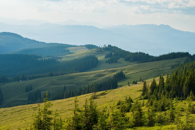 Cielo blu e verdi colline.