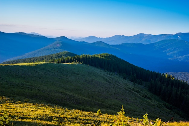 Cielo blu e verdi colline.