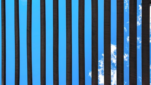 A blue sky is visible through a fence.