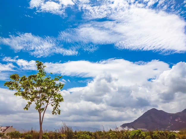 Blue sky and many white big clouds in daylight Natural sky mountains and a lot of green trees and grass composition Ideal for use in the design or wallpaper