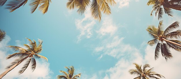 Photo blue sky and palm trees view from below vintage style summer panoramic background generative ai