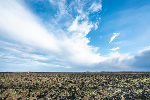 Photo blue sky over ploughed fileld in spring