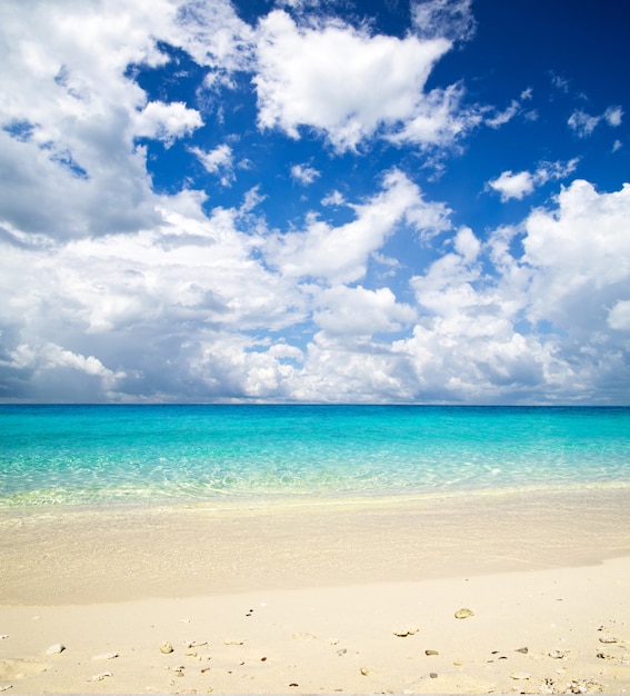 blue sky and tropical beach