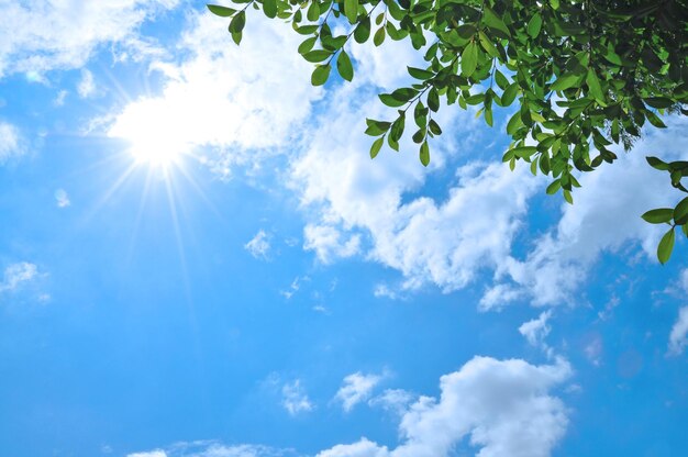 Photo blue sky and white clouds background