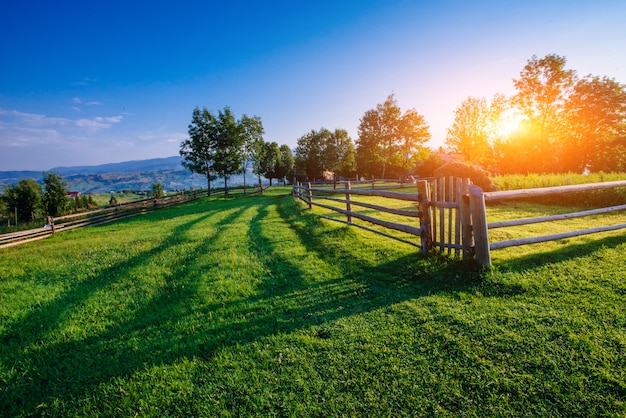 Photo blue sky with a beautiful meadow