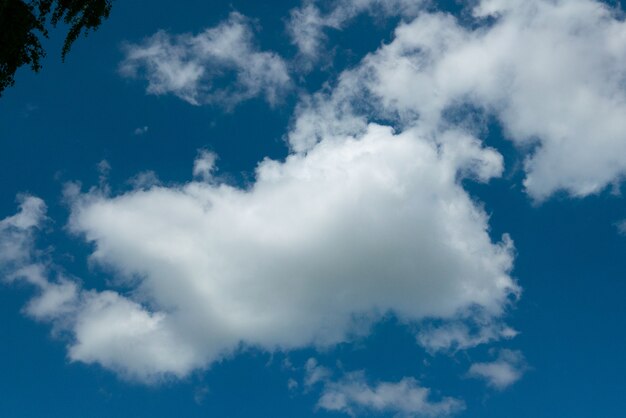 雲のクローズアップと青い空