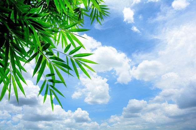 Blue sky with cloud in summer - background