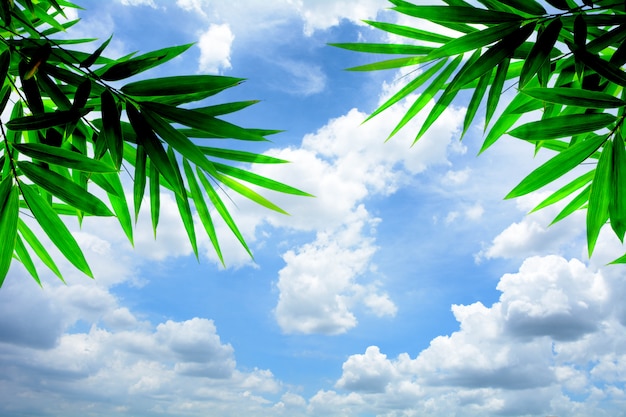 Blue sky with cloud in summer - background