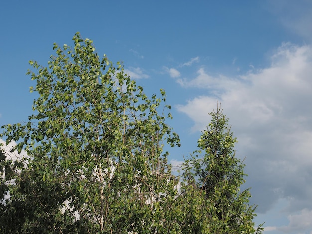 Blue sky with clouds background