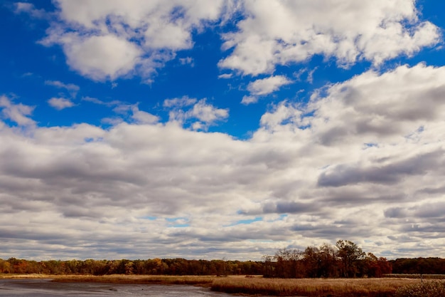 Blue sky with clouds closeup sky clouds summer weather white