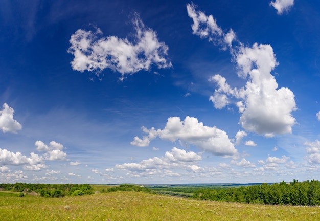 A blue sky with clouds over a flowering meadow in summer