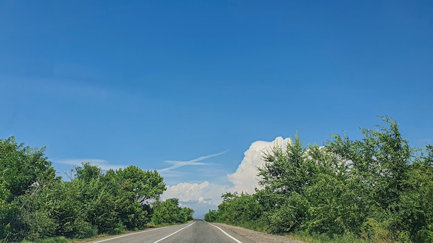 Blue sky with clouds, flying birds and green branches. Summer nature. Road.