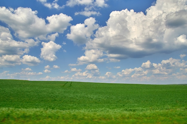 Cielo azzurro con nuvole sopra un campo verde