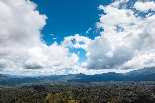 Blue sky with clouds green forest in the morning