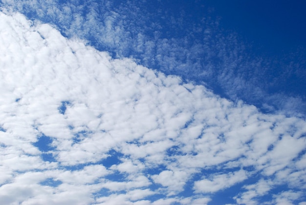 Photo a blue sky with clouds and a kite in the sky