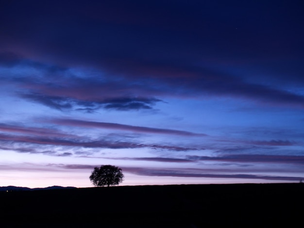 A blue sky with clouds and a tree in the foreground.