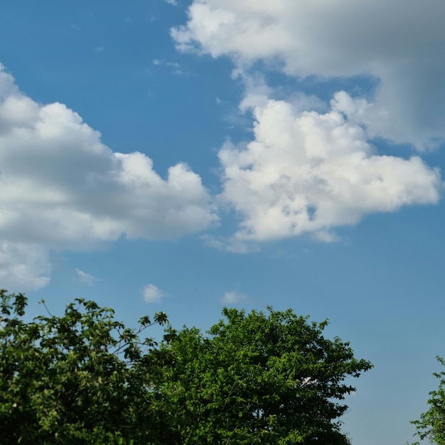 A blue sky with clouds and trees in the foreground.