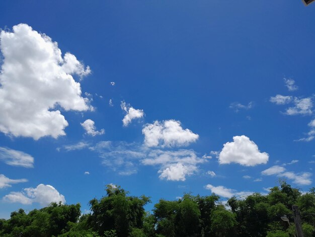 Foto un cielo blu con nuvole e alberi in primo piano